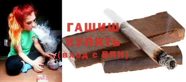гашик Алексеевка