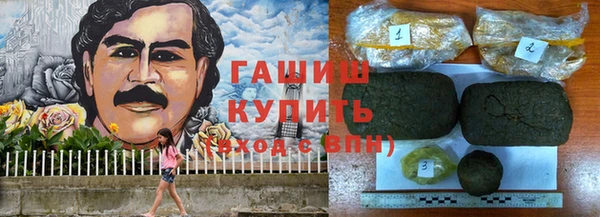 гашик Алексеевка